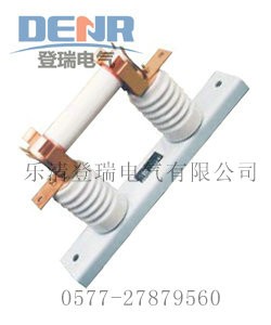 批发RN2-6/0.5A高压熔断器,RN2-6/0.5出厂价,RN2-6/0.5